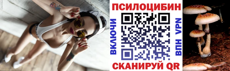 Купить  Ишим  Галлюциногенные грибы MAGIC MUSHROOMS 